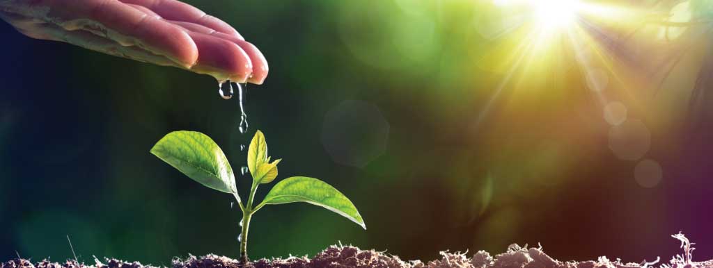 The 10 Best Natural Practices To Lower The Risk of Diabetes